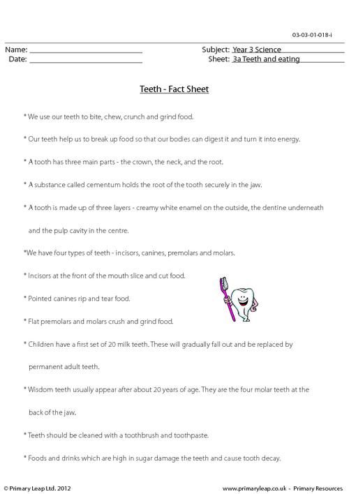 science teeth and digestion questions worksheet primaryleap co uk free worksheets for kids science worksheets worksheets for kids