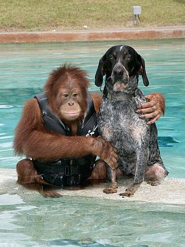 An Unlikely Friendship An Unlikely Friendship