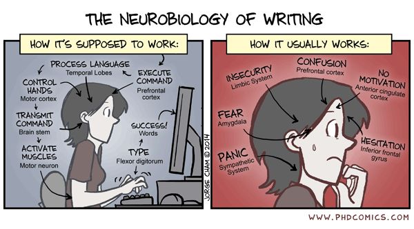 Phd thesis on vocabulary learning strategies