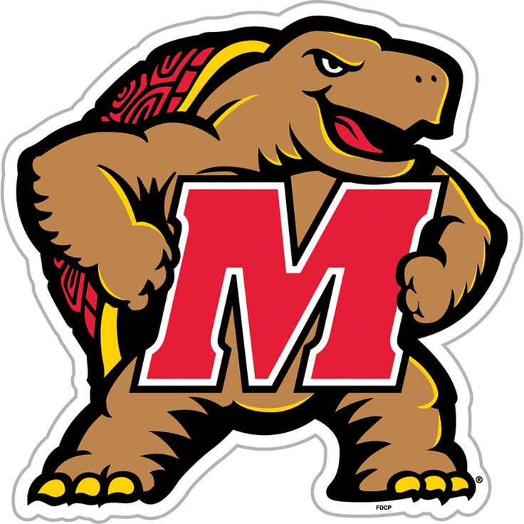 maryland terrapins football helmets