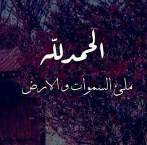Pin On حائط للصور