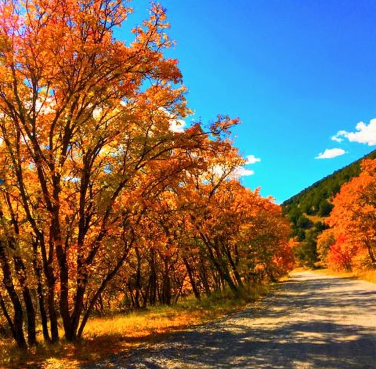 Pin By Lynn Edwards On Fall Flavor Country Roads Autumn Flavors Road pin-by-lynn-edwards-on-fall-flavor-country-roads-autumn-flavors-road