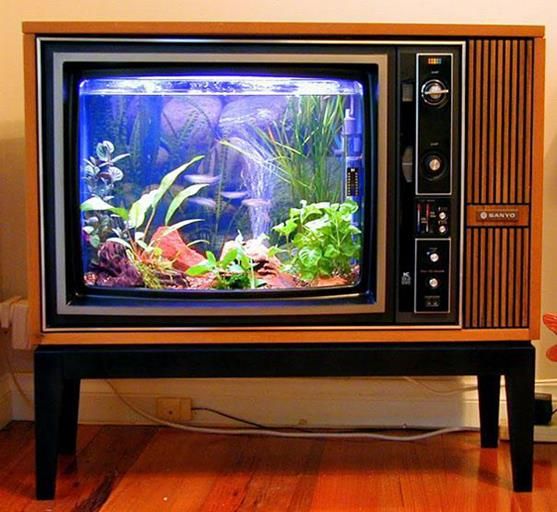 26 Creativas maneras de reutilizar esas cosas que llevas un tiempo queriendo tir...