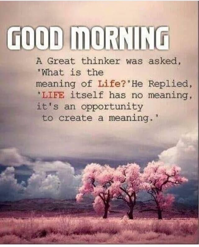 Good News Is That This Morning They >> Pin By Good News Indians On Quotes Good Morning Quotes Morning Good News Is That This Morning They >> Pin By Good News Indians On Quotes Good Morning Quotes Morning