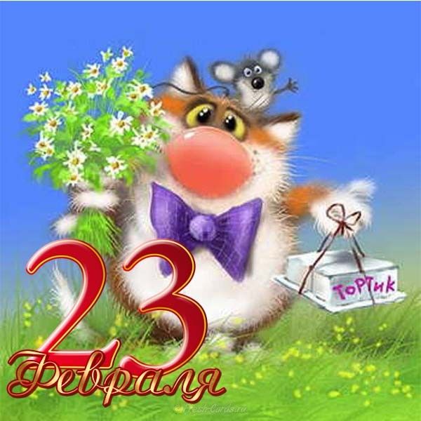 Открытка зятю с 23 февраля, день