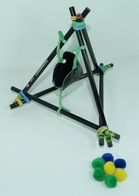 Catapult project essay grader