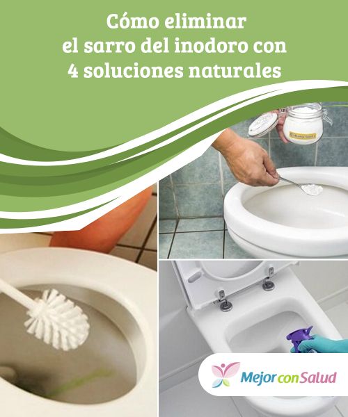 Como Eliminar Mosquitos En El Cuarto Baño
miami