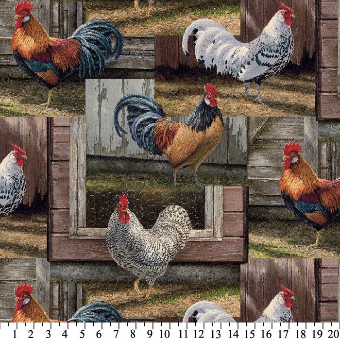 Black White Roosters Crowing Sound Silhouettes and Flowers Insect Butterfly Standing Plumage Cozy Plush for Indoor and Outdoor Use Lunarable Gallus Soft Flannel Fleece Throw Blanket 50 x 70 Black White Roosters Crowing Sound Silhouettes and Flowers Insect Butterfly Standing Plumage Cozy Plush for Indoor and Outdoor Use Lunarable Gallus Soft Flannel Fleece Throw Blanket 50 x 70