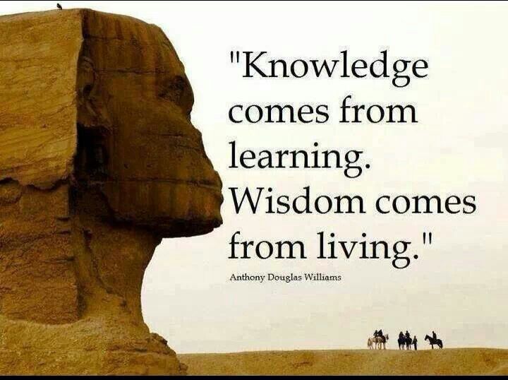 Knowledge vs Wisdom Knowledge quotes, Intelligence quotes, Wisdom quotes