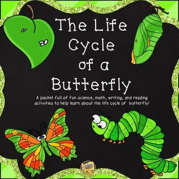 Life Cycle Of A Butterfly Butterfly Life Cycle Butterflies In 2025 51a31ce2bafb93edd760d315a06900b4