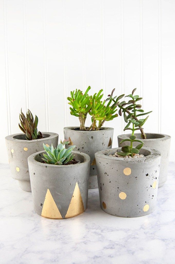 89 best garten diy images on Pinterest Succulents, Gardening and - mein garten rtl 89 best garten diy images on Pinterest Succulents, Gardening and - mein garten rtl
