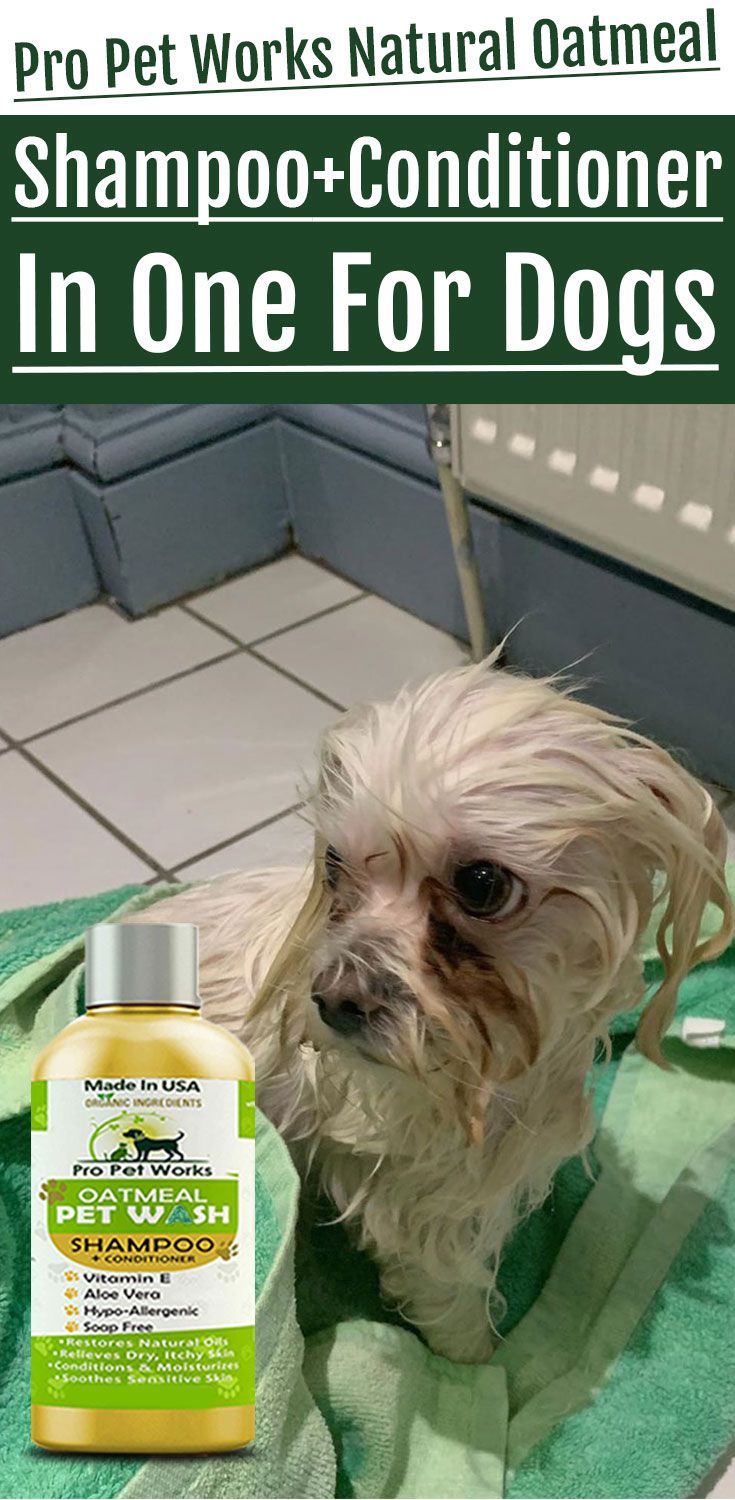 Pure Wild Salmon Oil For Dogs And Cats Vitamin E Enriched Supports Joint Function Immune And Heart Health Omega 3 Oils For Dogs Salmon Oil Pet Supplements