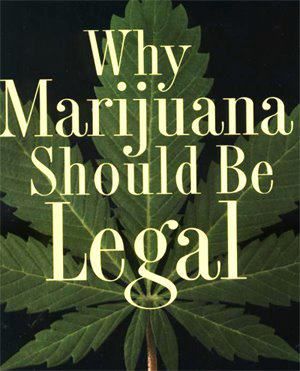 thesis cancer and marijuana thesis cancer and marijuana