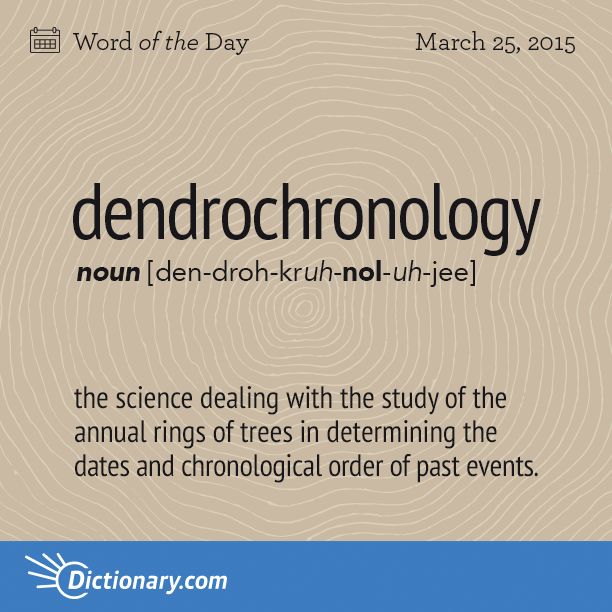Etymology Annual Rings Etymology Annual Rings