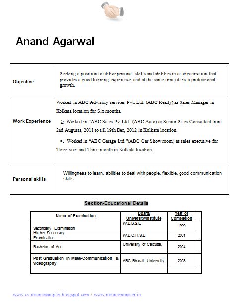 objective for professional resume