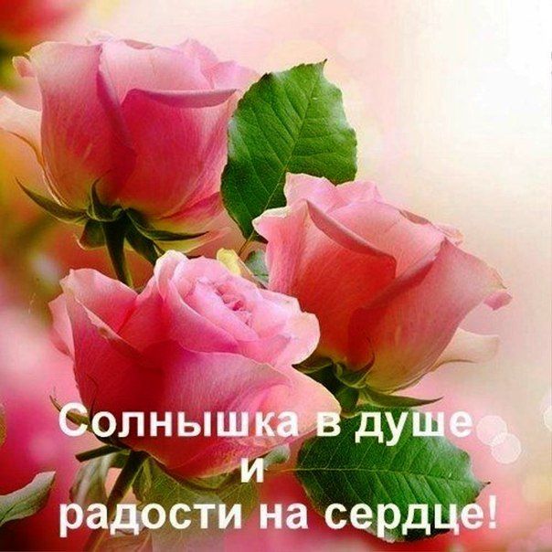 Солнышка в душе открытки
