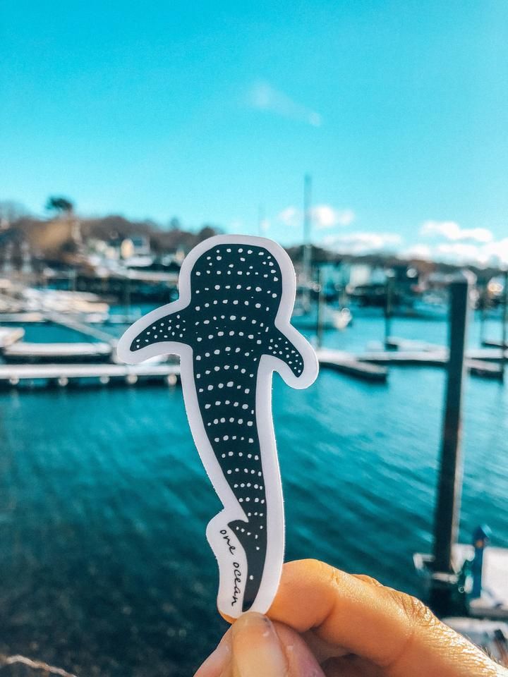 Car Stickers Com >> Whale Shark Bumper Sticker in 2019 | Stickers, Bumper stickers, Whale shark tattoo Car Stickers Com >> Whale Shark Bumper Sticker in 2019 | Stickers, Bumper stickers, Whale shark tattoo