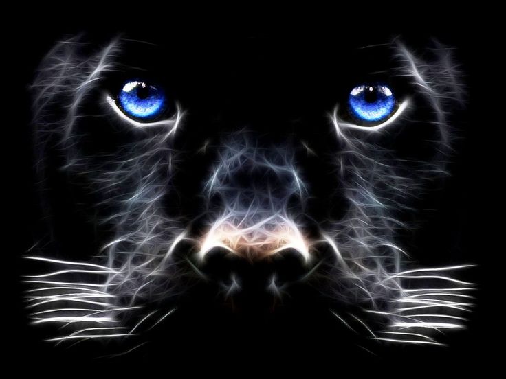 cool animated screensavers