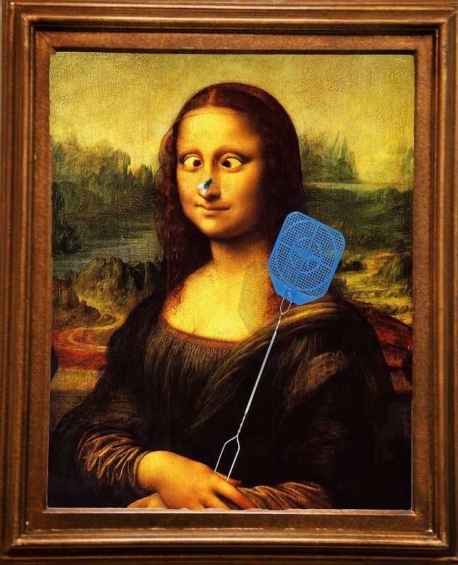 Mona fly swatter Mona lisa parody, Funny art, Art parody.