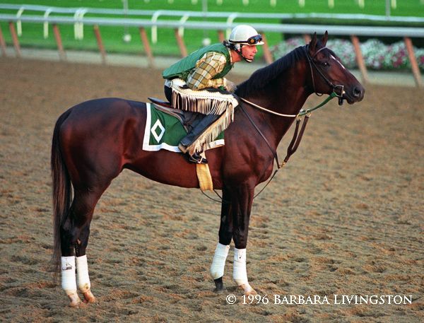 Best 25+ Racing form ideas on Pinterest Where is africa, Kenya - racing form Best 25+ Racing form ideas on Pinterest Where is africa, Kenya - racing form