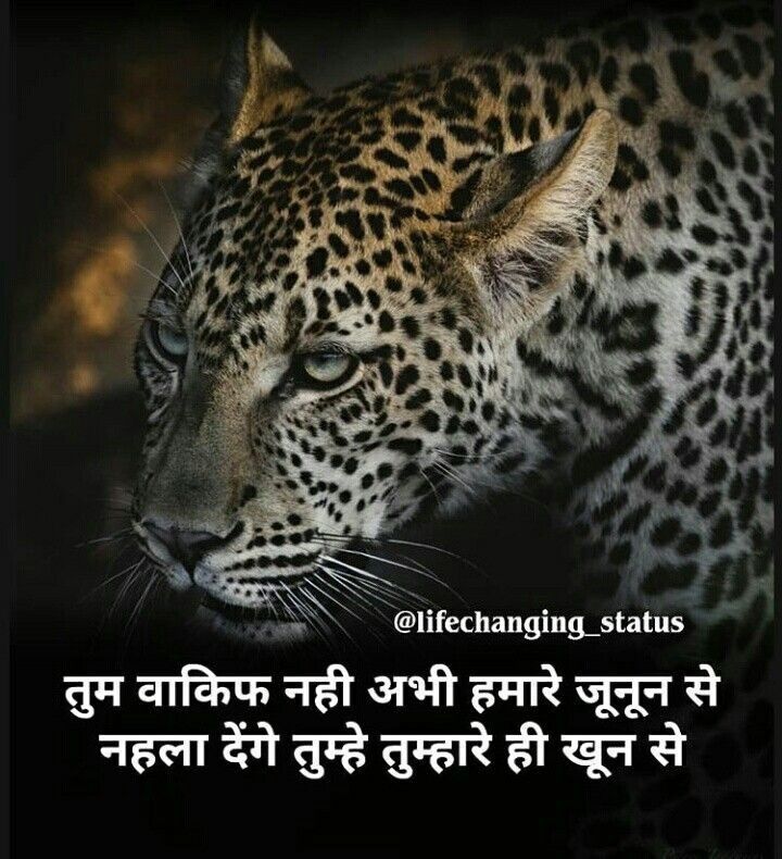 Hindi quotes | Inspirational quotes pictures, Hindi attitude quotes