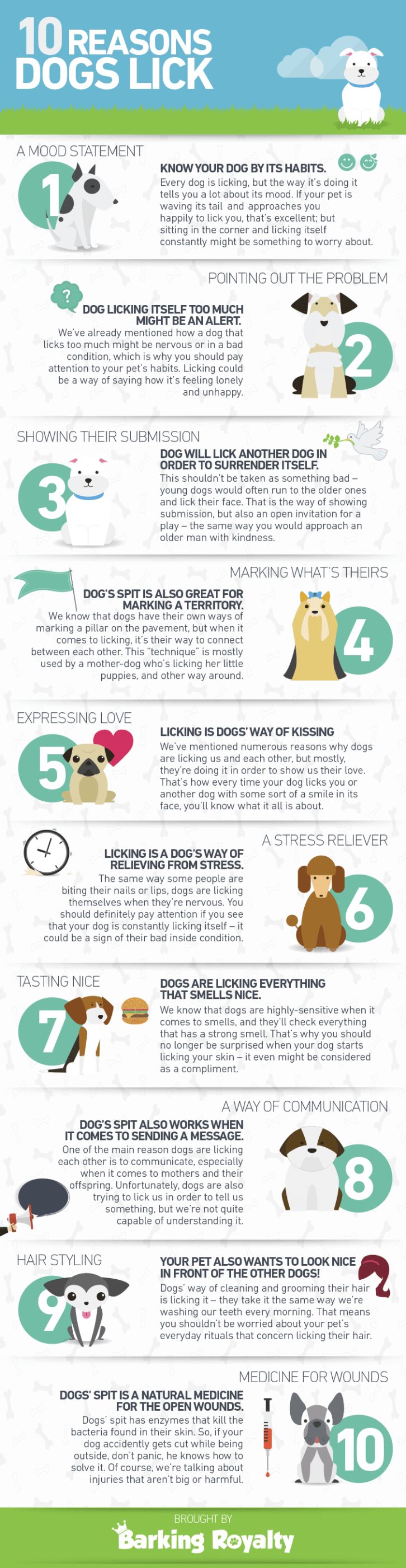 my licks everything 28 best infographics images on pet health health tips and my licks everything 28 best infographics images on pet health health tips and
