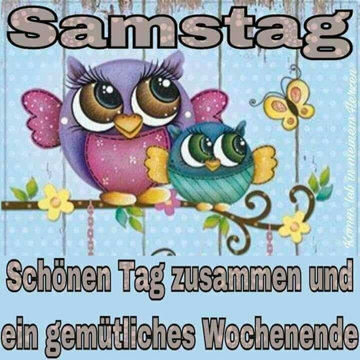 Schönen nachmittag bilder lustig