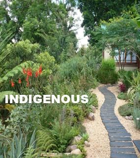 Waterwise Garden Design 25 best waterwise landscape images on pinterest | landscaping Waterwise Garden Design 25 best waterwise landscape images on pinterest | landscaping