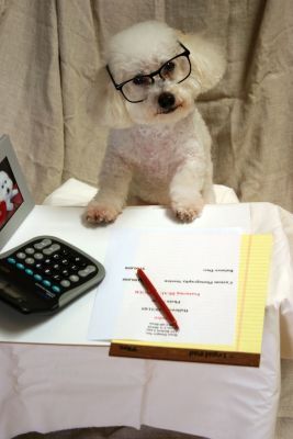 Can I Claim Service Dog Expenses On My Taxes Can I Claim Service Dog Expenses On My Taxes