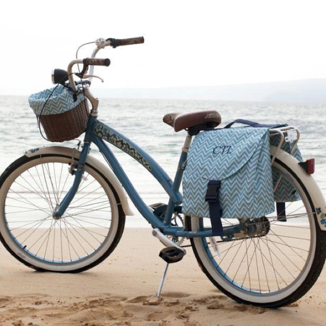 I need a cute but kinda dorky bike. Minus the saddle bags