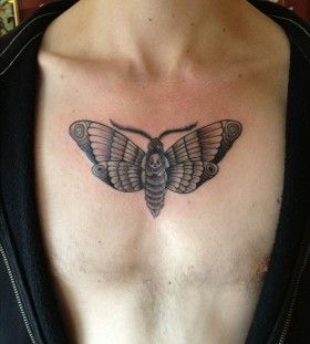 51 Breathtaking Moth Tattoo Ideas For Men and Women With Their Meaning   Psycho Tats