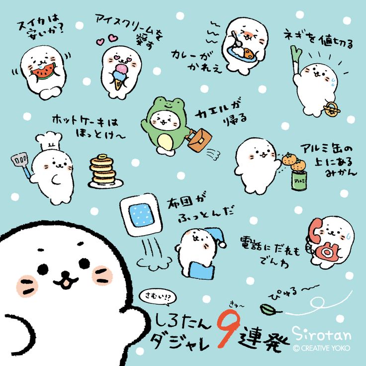 しろたん 21 ダジャレ しろたん かわいい
