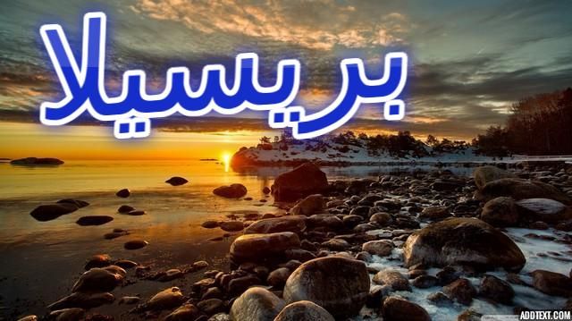 معنى اسم بريسيلا وصفات شخصيتها الموقر Pricilla أصول لاتينية اسم بريسيلا اسم بريسيلا بالانجليزية