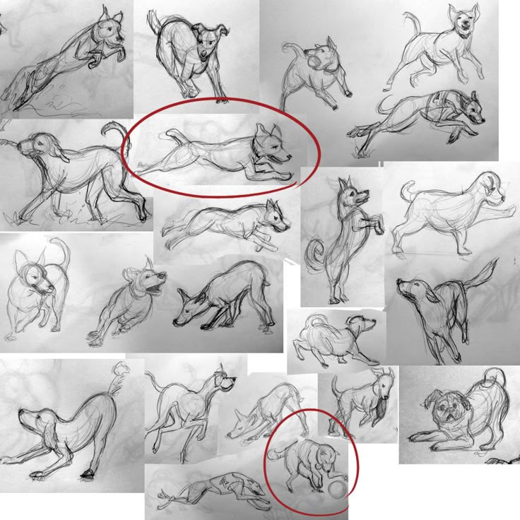 brief character sketch of a dog Character sketch of three men in a boat topics: humour brief character sketch of a dog in the novel three men in the boat essay. brief character sketch of a dog Character sketch of three men in a boat topics: humour brief character sketch of a dog in the novel three men in the boat essay.