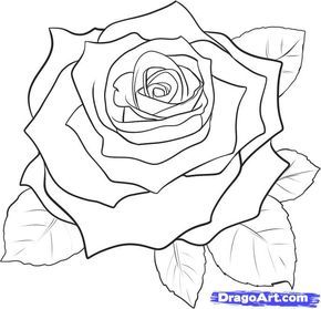 25 trending how to draw roses ideas on pinterest easy rose 25 trending how to draw roses ideas on pinterest easy rose