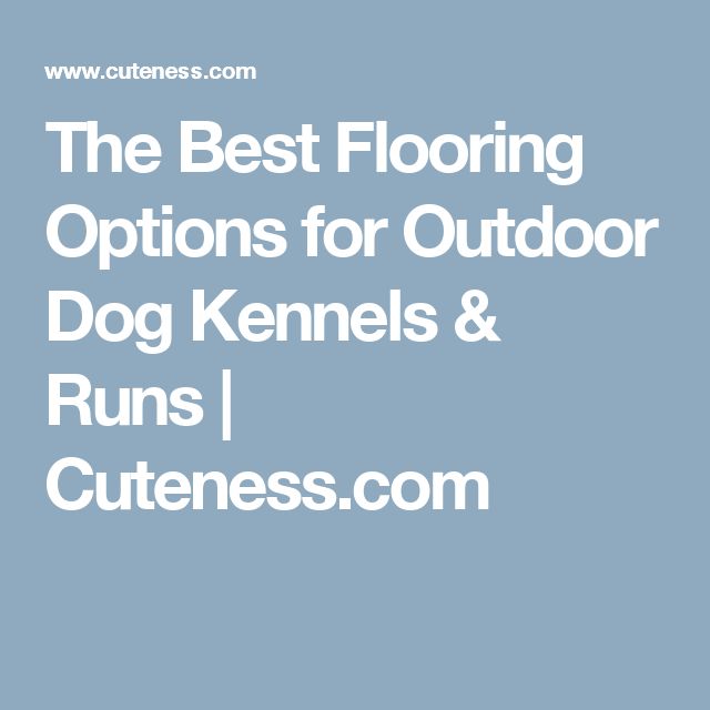 Best flooring options for dog kennels