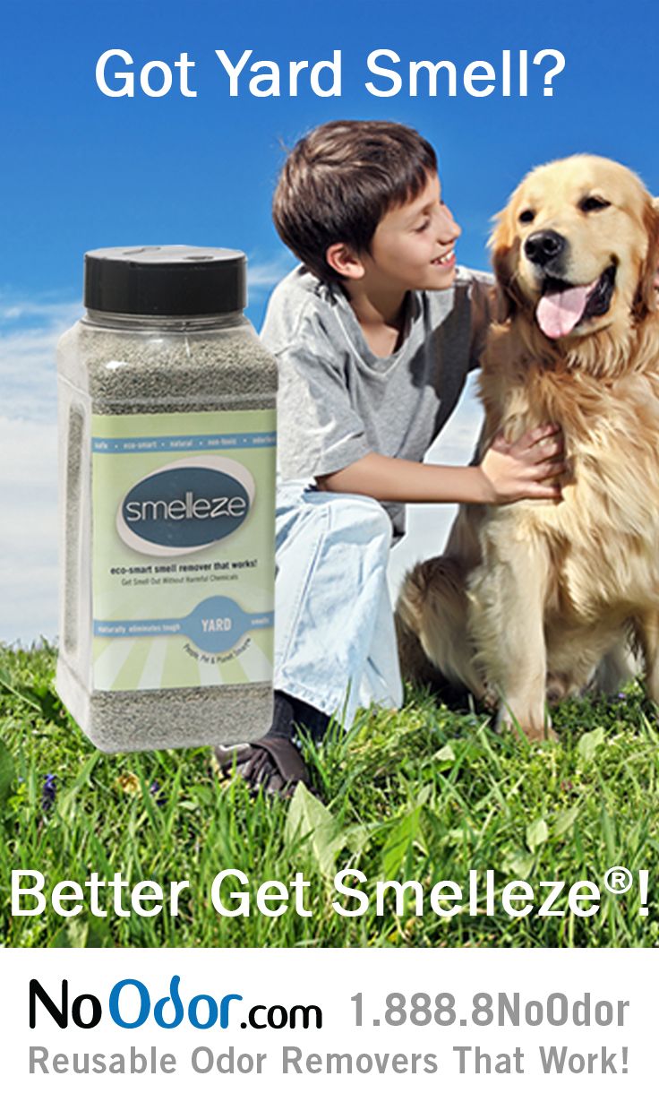 Natural Deodorizer Dog Run Natural Deodorizer Dog Run