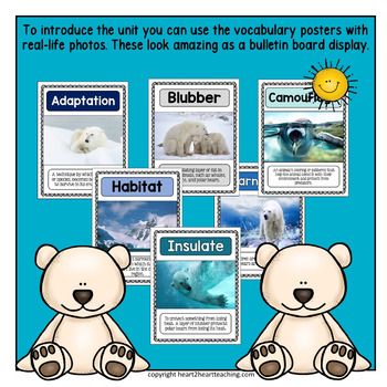 Polar Bears Homework Help Polar Bears Homework Help