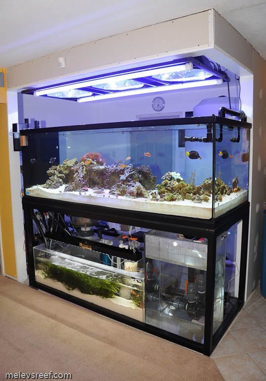 best aquarium furniture with