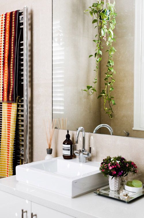 Cool Bathroom Plants 134 best :: bathroom :: images on pinterest | room, bathroom ideas Cool Bathroom Plants 134 best :: bathroom :: images on pinterest | room, bathroom ideas