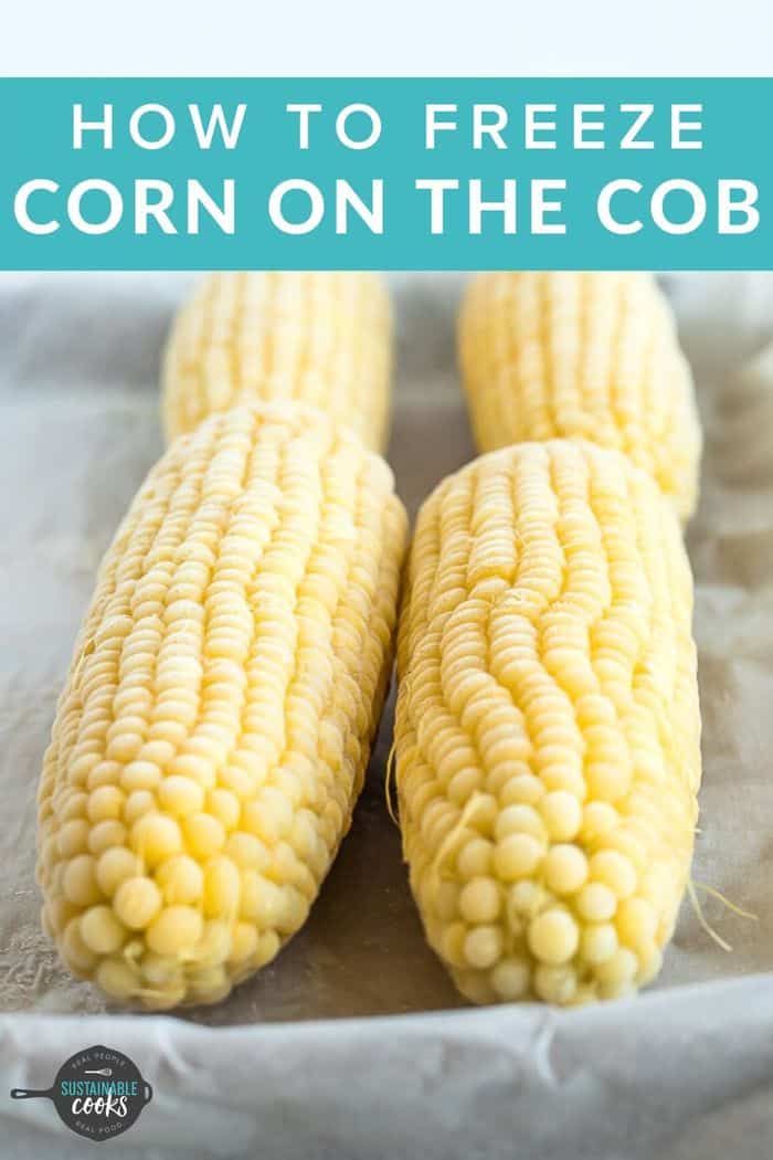 Freezing Corn On The Cob Is The Easiest Way To Preserve The Delicious freezing-corn-on-the-cob-is-the-easiest-way-to-preserve-the-delicious