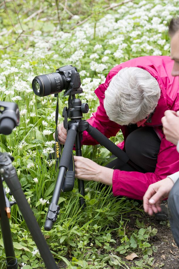What is the best option for taking a macro photography
