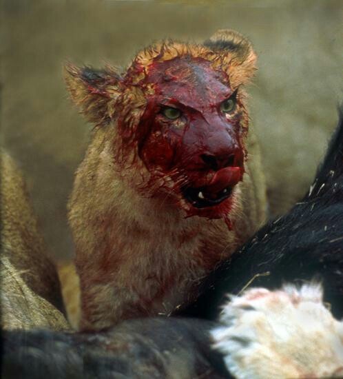 Nature Is Beautiful Don T Kill Her Nature Is Beautiful Don T Kill Her