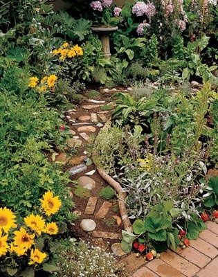 Garden Ideas North Carolina 36 best gardening images on pinterest | garden ideas, gardening Garden Ideas North Carolina 36 best gardening images on pinterest | garden ideas, gardening