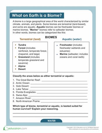 31 best Mrsbteacheshumanities TPT images on Pinterest Templates - blank sign up sheets 31 best Mrsbteacheshumanities TPT images on Pinterest Templates - blank sign up sheets