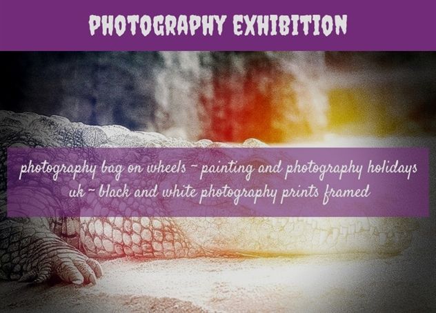 photographers bath crossword say cheese photography exhibition1892018071116413431 apps for iphone free photography gear crossword style photographers bath crossword say cheese photography exhibition1892018071116413431 apps for iphone free photography gear crossword style