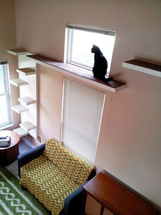 Best Cat Tree Ideas to Make Feline Happy