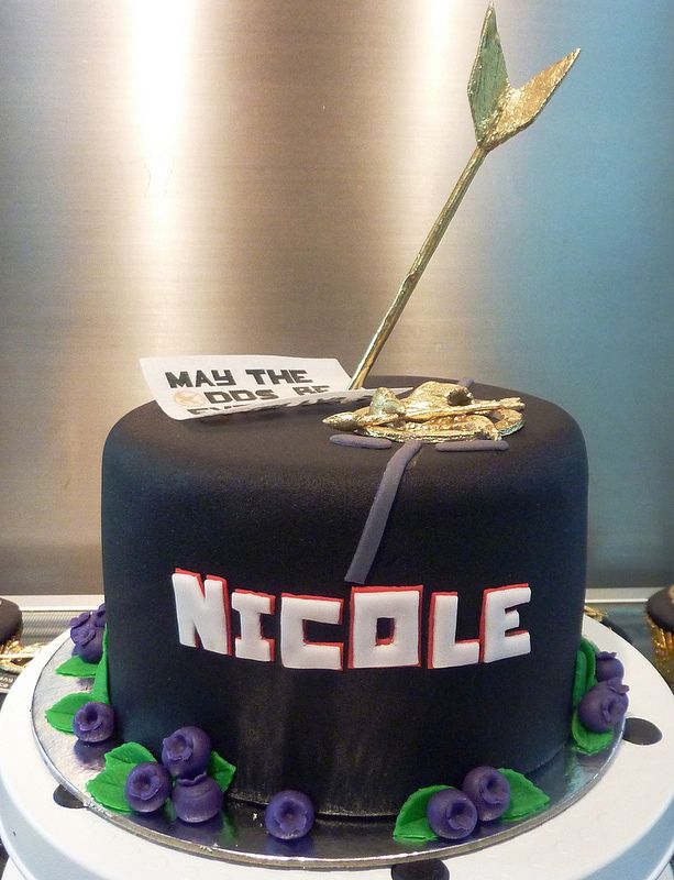 Hunger Games Cake Decorating Kit Hunger Games Cake Decorating Kit