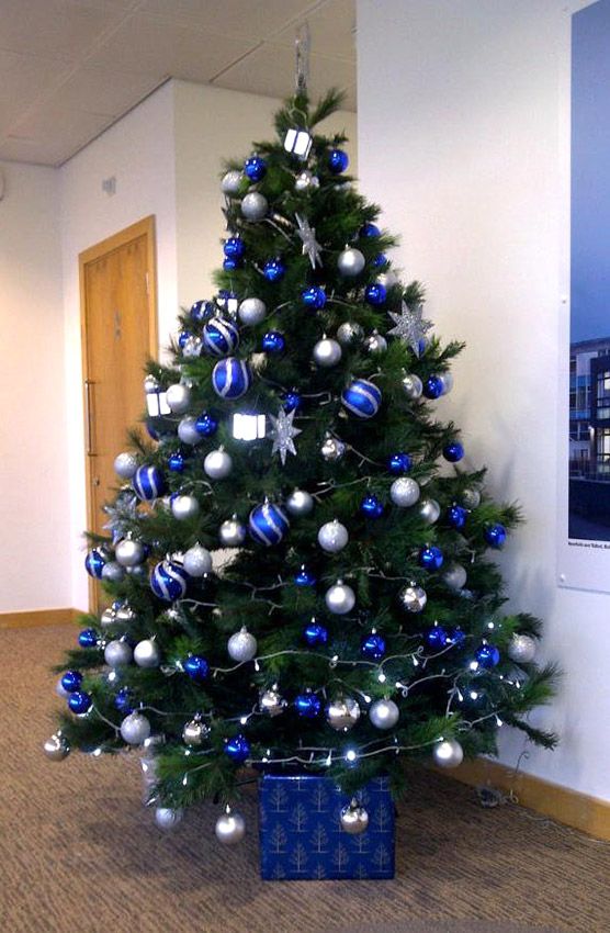 Christmastree Christmastrees Christmasdecor Christmastreetheme Christmastree Christmastrees Christmasdecor Christmastreetheme Christmastreecolors Christmasdecorations Deckthehalls