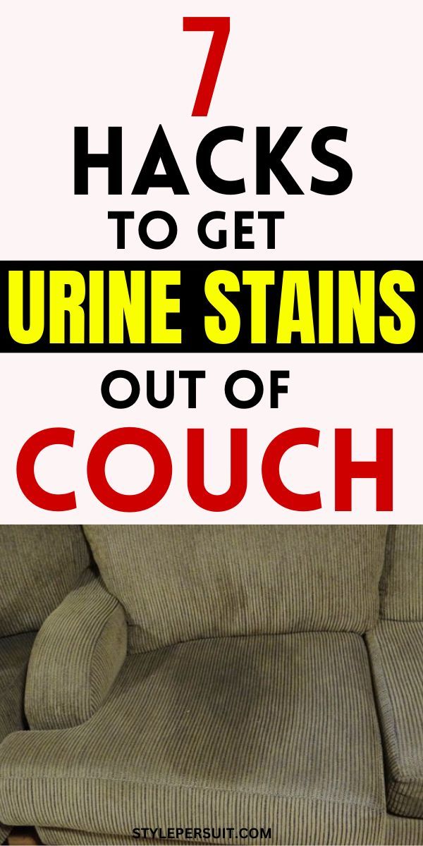 How To Get Urine Stains Out Of Couch Urine Stains Pee Smell Urinal how-to-remove-stains-and-pee-on-couch-and-mattress-so-easy-you-have